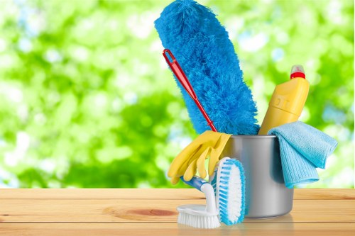 Detailed bathroom and kitchen deep cleaning in Fulham