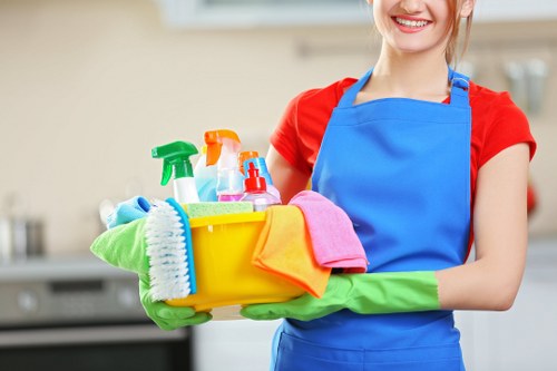 Professional carpet cleaning in a Fulham home living room
