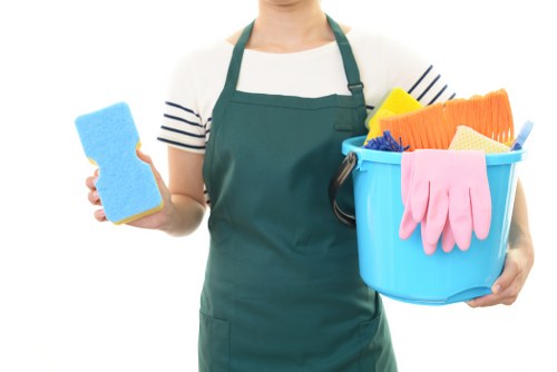 Local upholstery cleaner working in a Fulham property