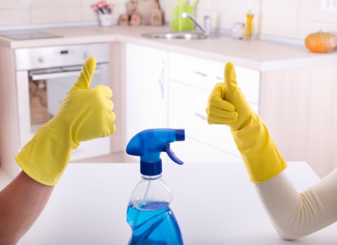 Cleaner Fulham service terms document and booking information