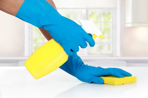 Odour removal service for rugs and upholstery in Fulham