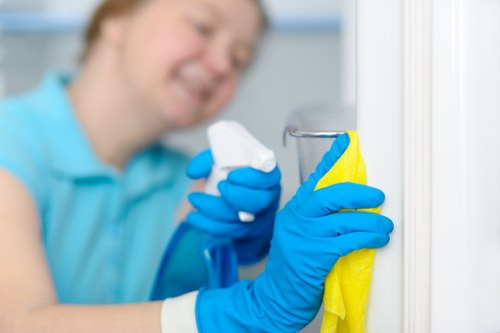 Professional sofa cleaning service in a Fulham home