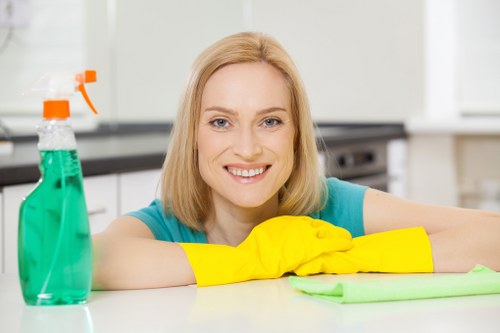 Kitchen and bathroom regular cleaning in a Fulham property
